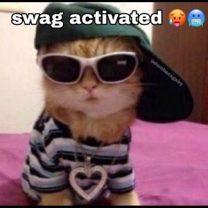 Meet your Posher, Valeria